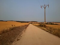 IMG-20220713-WA0013