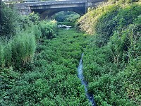 IMG-20220713-WA0016