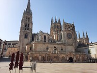 IMG-20220714-WA0053