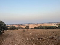 IMG-20220714-WA0007