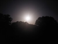 IMG-20220714-WA0015