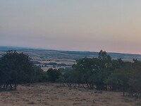 IMG-20220714-WA0031