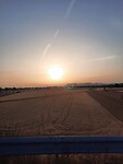 IMG-20220715-WA0019