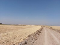 IMG-20220715-WA0026
