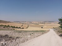 IMG-20220715-WA0028