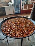 IMG-20220715-WA0068