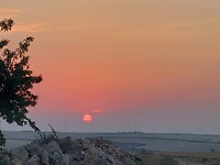 IMG-20220716-WA0008