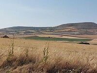 IMG-20220716-WA0015