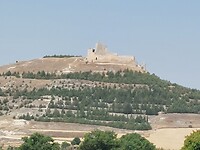 IMG-20220716-WA0017