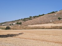 IMG-20220716-WA0045