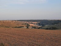 IMG-20220716-WA0050