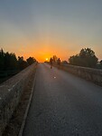 IMG-20220717-WA0018