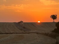 IMG-20220717-WA0023