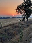 IMG-20220719-WA0072