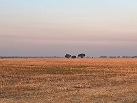 IMG-20220719-WA0040