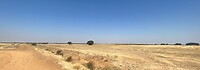 IMG-20220720-WA0029