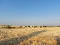 IMG-20220720-WA0039