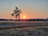 IMG-20220721-WA0041