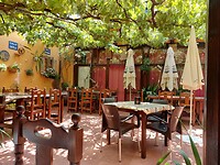 IMG-20220721-WA0047