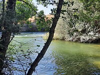 IMG-20220721-WA0070
