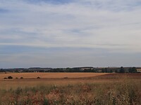 IMG-20220722-WA0040