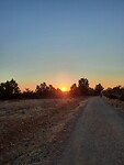 IMG-20220723-WA0000