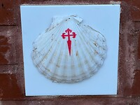 IMG-20220723-WA0067