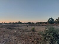 IMG-20220723-WA0099