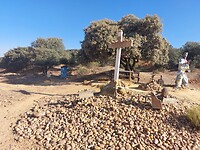 IMG-20220724-WA0056