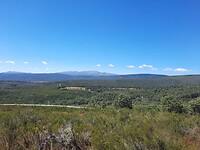 IMG-20220725-WA0037