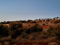 IMG-20220725-WA0048
