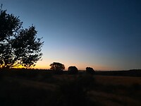 IMG-20220725-WA0050