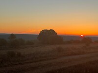 IMG-20220725-WA0051