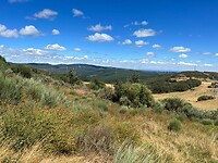IMG-20220725-WA0054