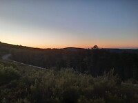IMG-20220726-WA0107
