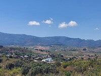 IMG-20220726-WA0117