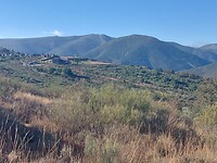 IMG-20220726-WA0130