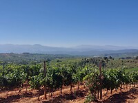 IMG-20220727-WA0108