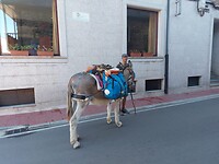 IMG-20220727-WA0113