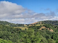 IMG-20220729-WA0064