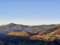 IMG-20220729-WA0074
