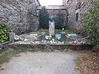 IMG-20220729-WA0082
