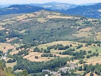 IMG-20220729-WA0093