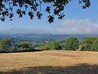 IMG-20220731-WA0059
