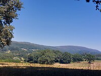 IMG-20220801-WA0040
