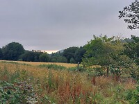 IMG-20220801-WA0042