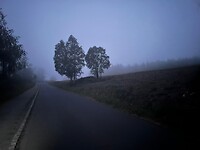IMG-20220801-WA0074