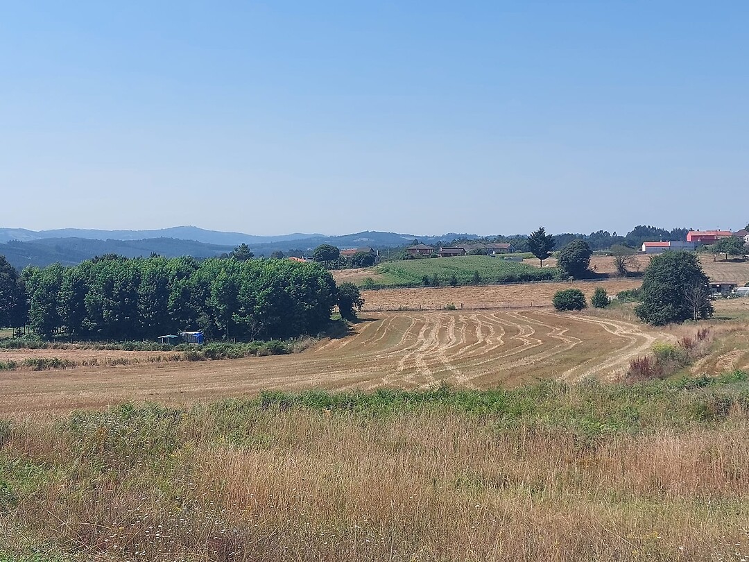 IMG-20220802-WA0035