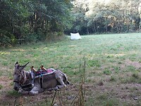 IMG-20220802-WA0045