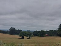 IMG-20220803-WA0035